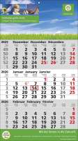 3 Monats-Wandkalender Standard 2 Plus, 3-sprachig