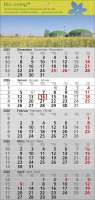 5 Monats-Wandkalender Standard 5, 3-sprachig