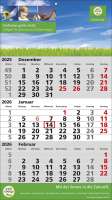 3 Monats-Wandkalender Standard 2 Plus, deutsch