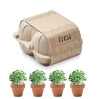 CRESS Saat-Set Kresse