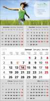 5-Monats-Wandkalender Top Five, 3-sprachig