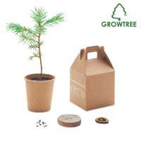 GROWTREE™ Kiefernsamen-Set