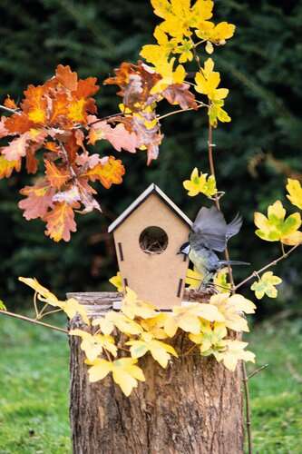 Vogelhaus ECO HOME