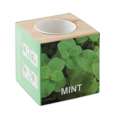 MENTA Kräuterpflanz-Set &quot;Minze&#039;&#039;